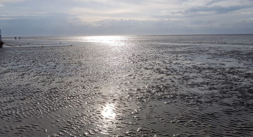 Wattlandschaft
